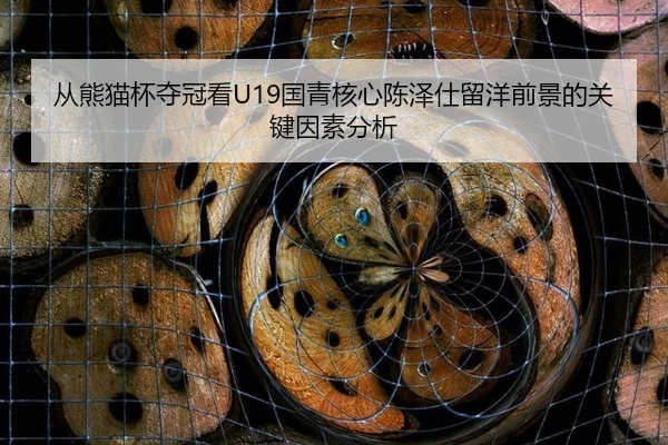 从熊猫杯夺冠看U19国青核心陈泽仕留洋前景的关键因素分析